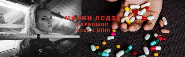 прущие грибы Яранск