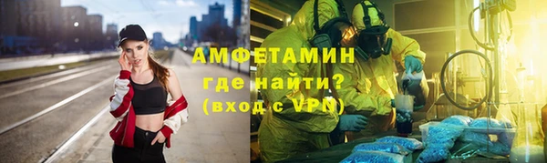 прущие грибы Яранск