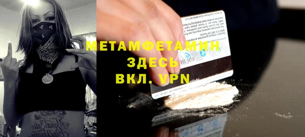 прущие грибы Яранск