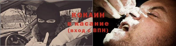 прущие грибы Яранск