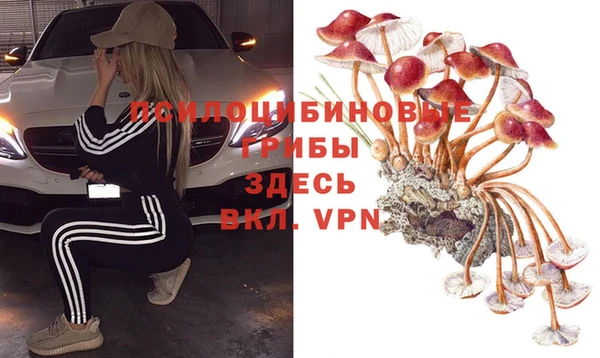 прущие грибы Яранск
