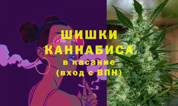 прущие грибы Яранск