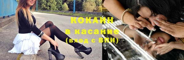 прущие грибы Яранск