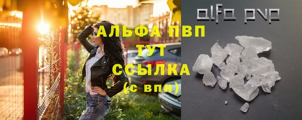 прущие грибы Яранск