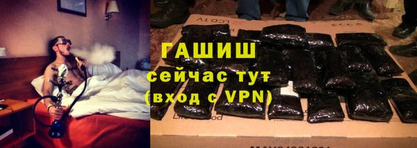 прущие грибы Яранск
