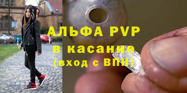 прущие грибы Яранск