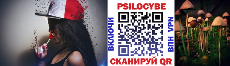 Псилоцибиновые грибы мицелий  Барнаул 