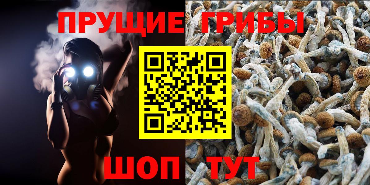 Галлюциногенные грибы Psilocybine cubensis  Вход с VPN  Барнаул 