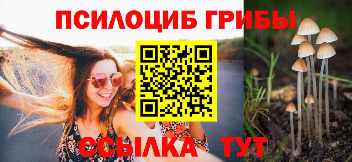 Псилоцибиновые грибы Cubensis Барнаул